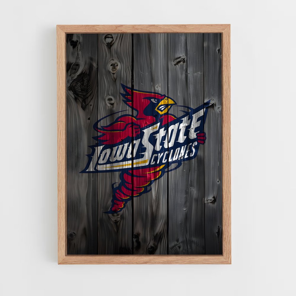 Poster Cyclones en Fête – affiche Basketball (vue 4)